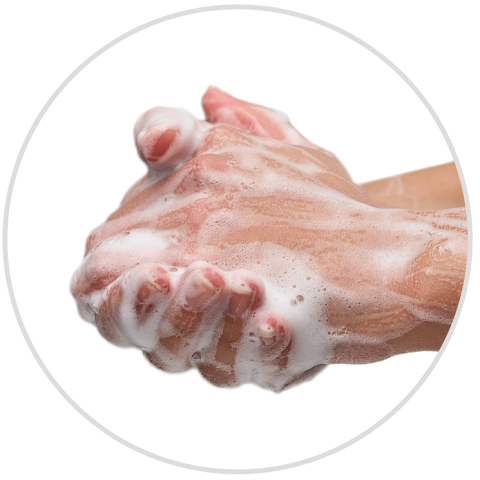 Lavez-vous les mains
